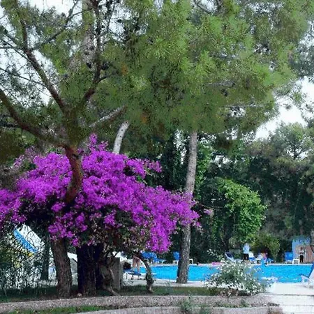 Beach Club Pinara Hv2 Kemer